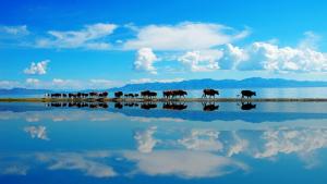 Sarym Lake